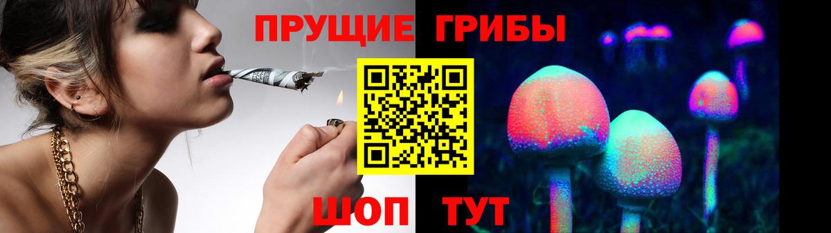Дивногорск  Галлюциногенные грибы мицелий  Галлюциногенные грибы Psilocybine cubensis  Вход с VPN 
